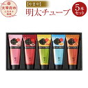 【ふるさと納税】明太チューブ 5本セット 100g×5本 計...