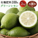 【ふるさと納税】数量限定 グリーンレモン 2kg 有機肥料1...