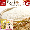 【ふるさと納税】【お米定期便】 12ヶ月毎月お届け! 夢つく...