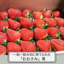 【ふるさと納税】【おおきみ】苺 270g×4パック 【果物類...