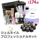 【ふるさと納税】ジェルネイル プロフェッショナルキット 17...