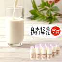 【ふるさと納税】数量限定 白木牧場 特別牛乳 200ml×1...