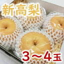 【ふるさと納税】新高梨(3~4玉)<ファームステーションバサロ> 【梨・ナシ・果物・フルーツ】 お届け:2021年9月下旬~10月中旬