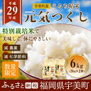 【ふるさと納税】うる...