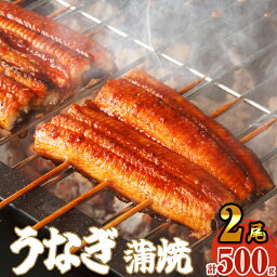 【<strong>ふるさと納税</strong>】ふっくら肉厚 うなぎ蒲焼 2尾 500g 小分け 真空 SF010-2【 福岡県 須恵町 】