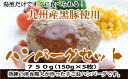 【ふるさと納税】A368.九州産黒豚ハンバーグセット