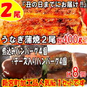 【ふるさと納税】A601.うなぎの蒲焼2尾&大人気のデミ&チ...