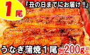 【ふるさと納税】Z126.『丑の日までにお届け!!』うなぎの...