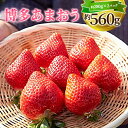 【ふるさと納税】博多 あまおう 合計約560g 約280g×2パック入り DX上級品 いちご イチゴ 苺 フルーツ 果物 福岡県産 九州産 国産 冷蔵 【2021年12月上旬から12月下旬までに順次発送】年内発送 予約 送料無料