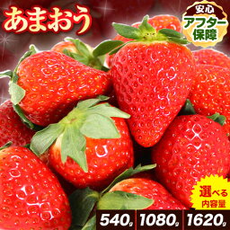 【<strong>ふるさと納税</strong>】<strong>いちご</strong> あまおう 【2024年4月発送分】苺 540g から1620g 選べる 内容量 苺 送料無料 【着日指定不可】《3-14営業日以内に出荷予定(土日祝除く)》 イチゴ 果物 フルーツ 福岡県 鞍手郡 小竹町