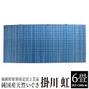 【ふるさと納税】純国産天然いぐさ 「掛川 虹」6畳(青色) 02-DC-4504r