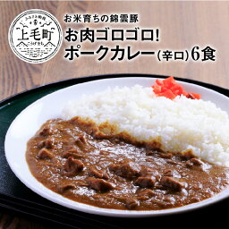 【<strong>ふるさと納税</strong>】ご当地 カレー お米育ち 錦雲豚 お肉 ゴロゴロ ポークカレー 辛口 200g×6食 レトルト カレーライス 米 ご飯 ブランド豚 豚肉 肉 ポーク オレイン酸 スパイス <strong>スパイスカレー</strong> 湯せん 温めるだけ グルメ 送料無料