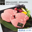 【ふるさと納税】佐賀牛A5等級シャトーブリアン600g 和牛...