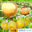 【ふるさと納税】今が食べ頃 特栽 旬の梨5キロ