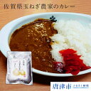 【楽天ふるさと納税】 佐賀県玉ねぎ農家のカレー