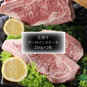 【ふるさと納税】c-44 佐賀牛サーロインステーキ(250g×2枚)