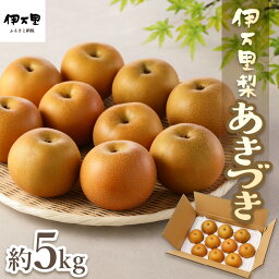 【ふるさと納税】【令和6年産先行予約】【数量限定】伊万里梨「あきづき」 約5kg B165