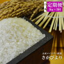 【ふるさと納税】D-63 《3ヶ月毎月お届け》佐賀県産さがび...