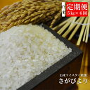【ふるさと納税】G-21 《6ヶ月毎月お届け》佐賀県産さがび...