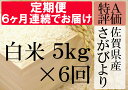 【ふるさと納税】G-4 《6ヶ月毎月お届け》佐賀県産さがびよ...