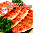 【ふるさと納税】E-29 佐賀牛 ロース焼肉用500g
