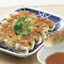 【ふるさと納税】B-86 佐賀産牛・佐賀産豚の手作りギョーザ...