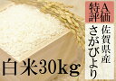 【ふるさと納税】F-9 【30年産新米】【特A】厳選!佐賀県...