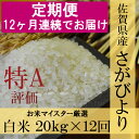 【ふるさと納税】V-11 《12ヶ月定期便》【特A】佐賀県産さがびより 白米(毎月20kg×12回)