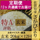 【ふるさと納税】V-12 《12ヶ月定期便》【特A】佐賀県産さがびより 玄米(毎月20kg×12回)