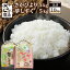 【ふるさと納税】佐賀県 鹿島市産 合計10kg 令和4年産 鈴山農園 こだわりの お米 2種セット さがびより・夢しずく 各5kg 九州 国産 九州産 ご飯 白米 精米 米 食べ比べ 送料無料 B-136