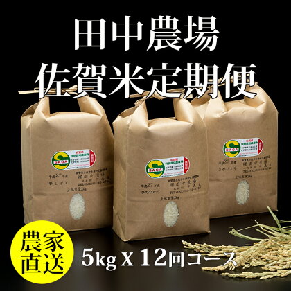 【定期便】(12ヶ月連続お届け) 田中農場 佐賀米5kg X 12回 農家直送 お米の定期便 うまい 毎月12回 さがびより