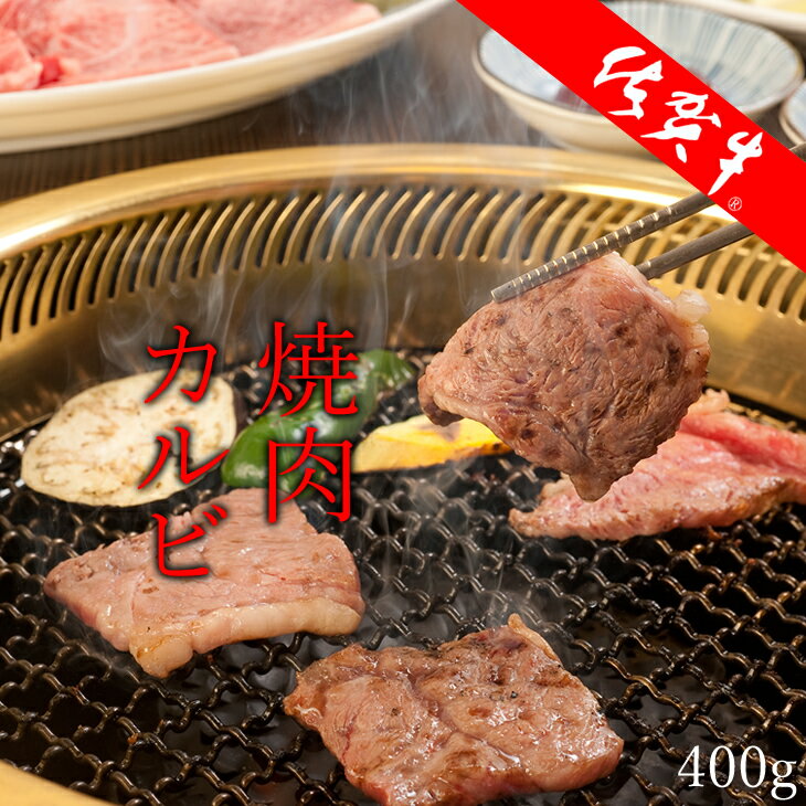 【ふるさと納税】佐賀牛カルビ焼肉セット（400g）焼肉園 佐賀牛 焼肉 カルビ 合計400g 牛肉 バーベキュー 国産 BBQ お肉 ブランド牛 九州産 送料無料