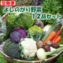 【ふるさと納税】【定期コース】よしのがり野菜セットレギュラー...
