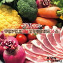 【ふるさと納税】背振ジビエ1kgと旬の野菜16品BBQセット...