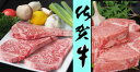 【ふるさと納税】J-024 ★大統領おもてなし★佐賀牛ヒレ3...