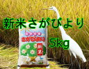 【ふるさと納税】A-084【新米】美味しさ自慢!2017年産米さがびより5kg