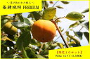 【ふるさと納税】E-042 【10セット限定】基肄城柿(きいじょうがき)プレミアム 5kg