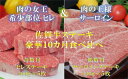 【ふるさと納税】S-007 佐賀牛ステーキ豪華10カ月食べ比べ