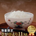 【ふるさと納税】“9年連続特A受賞”さがびより11kg (5...