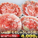 【ふるさと納税】九州産豚「モモしゃぶしゃ...
