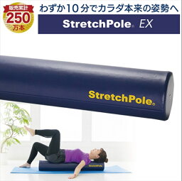 【<strong>ふるさと納税</strong>】【LPN社製】「<strong>ストレッチポール</strong>EX」（ネイビー色）一流アスリートから医療の現場、ご家庭まで幅広く活用。（FI002）