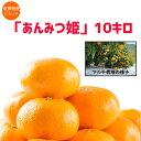 【ふるさと納税】数量限定!佐賀県産みかん「あんみつ姫」10キ...