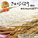 【ふるさと納税】みやき町産『さがびより(精米)』9年連続特A受賞【毎月20kg】(K77)