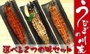 【ふるさと納税】うなぎの川友 うなぎを選べる2つの味セット(...