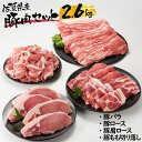 【ふるさと納税】丸福 佐賀県産豚肉セット 2.6kg...