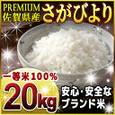 【ふるさと納税】AF002R 【29年度産】佐賀県産“プレミアムさがびより” 100%一等米20kg