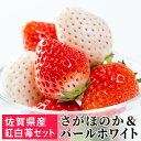 【ふるさと納税】SF003R 「パールホワイト」&「さがほのか」佐賀県産いちご 紅白セット