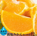 【ふるさと納税】みかんセット(約12kg)...