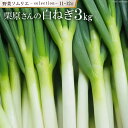 【ふるさと納税】【11~12月】野菜ソムリエselection ~栗原さんの白ねぎ~
