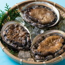 【ふるさと納税】C-040 対馬の天然あわび3枚 600g